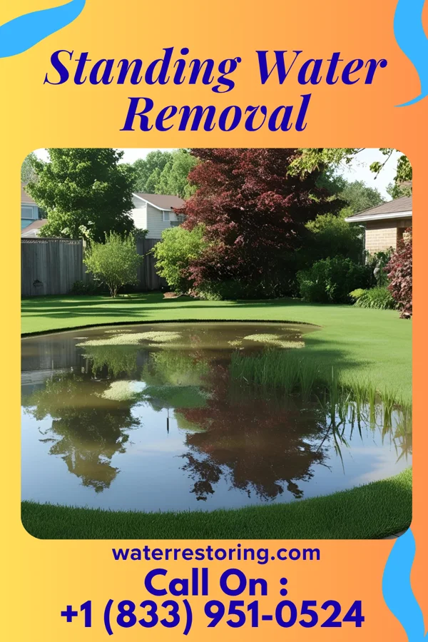 Standing Water Removal in Tetonia, ID